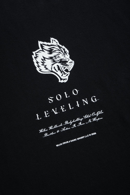 "Celestial Knight" Premium Oversized Tee/Solo Leveling