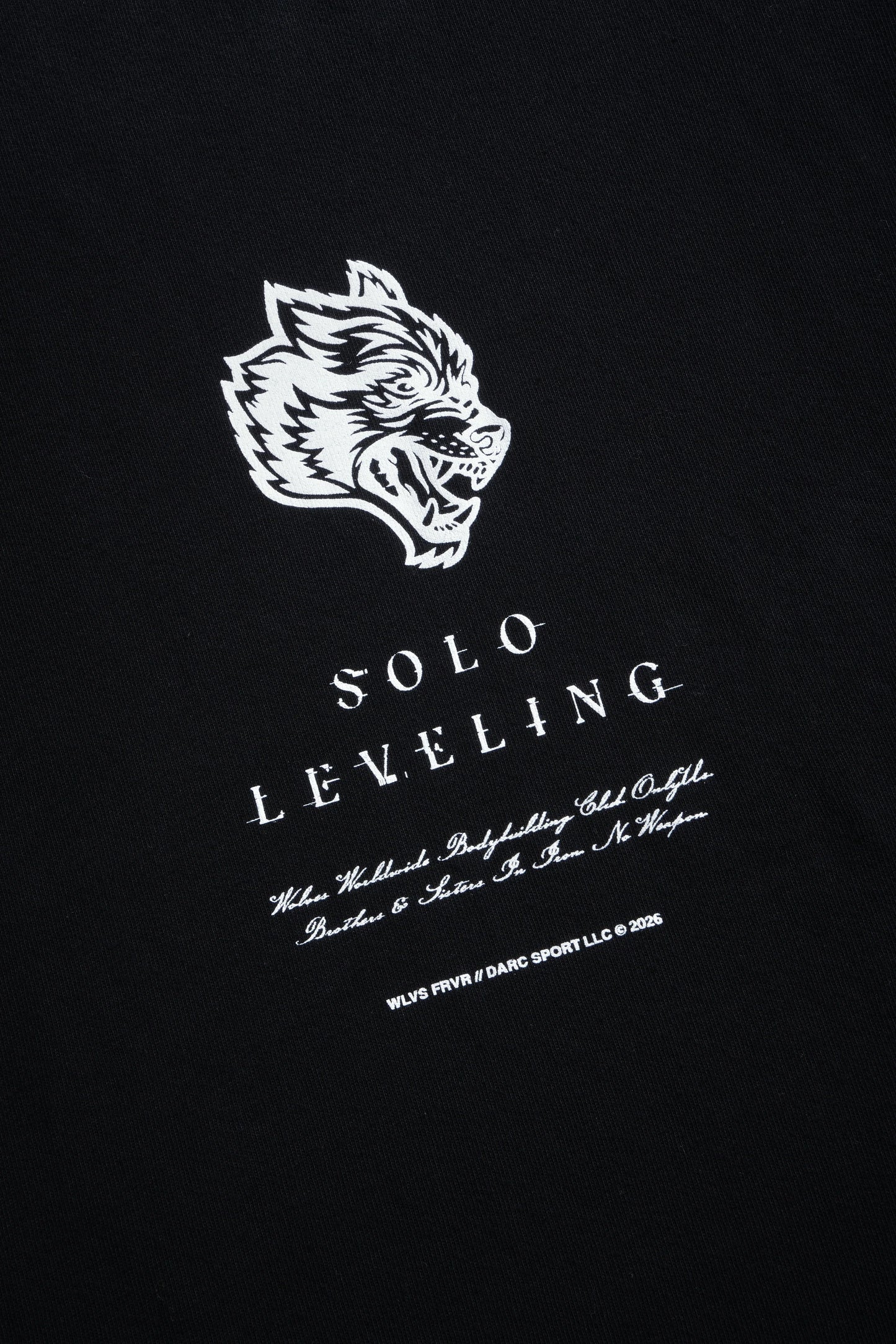 "Celestial Knight" Premium Oversized Tee/Solo Leveling