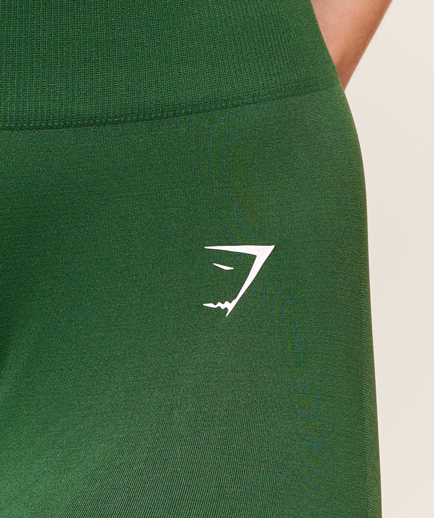 Everyday Seamless Leggings